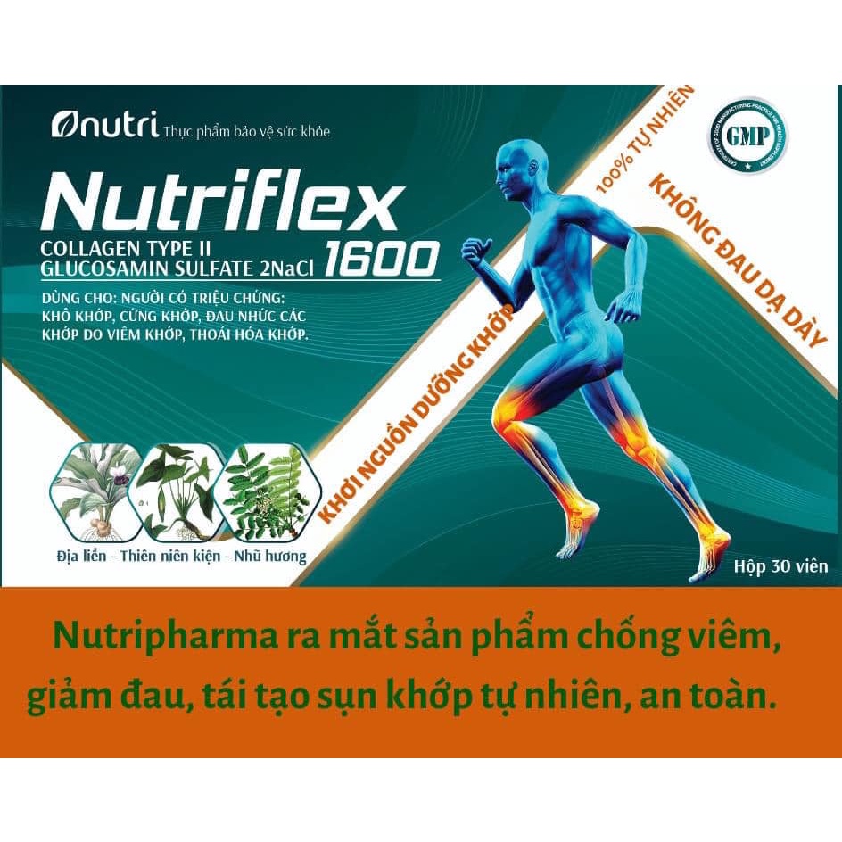 NutriFlex 1600 - Dưỡng khớp