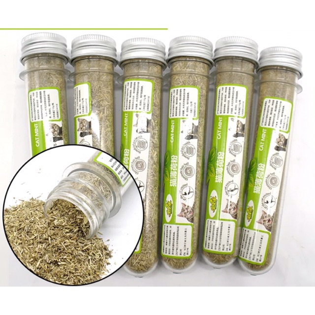 CỎ MÈO BẠC HÀ CATNIP