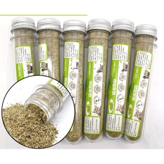 CỎ MÈO BẠC HÀ CATNIP
