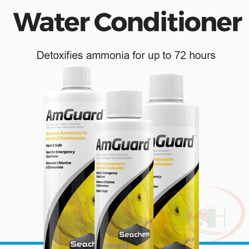 Khử Độc Nước Seachem AmGuard Giảm Amoniac