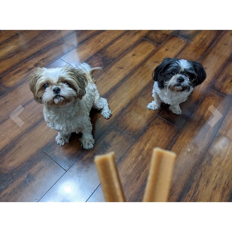 Xương gặm sạch răng PEDIGREE DENTASTIX sản phẩm bán chạy tại MỸ hộp 108 que