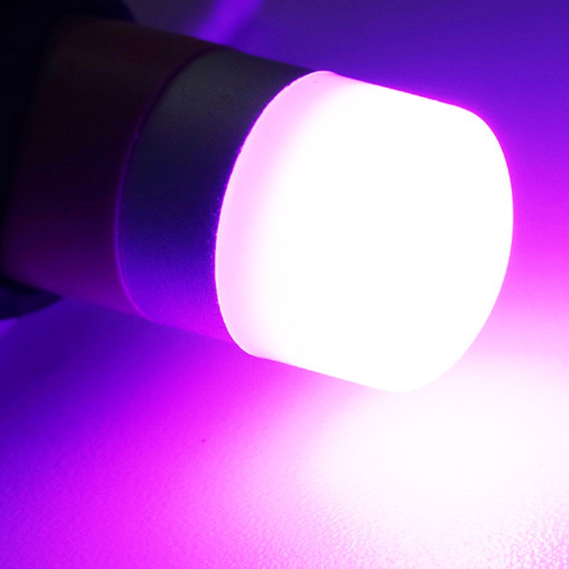 Đèn led xi nhan, demi, đọc sách, trần, cốp, đồng hồ taplo chân T10 chip 3030 T103030-1