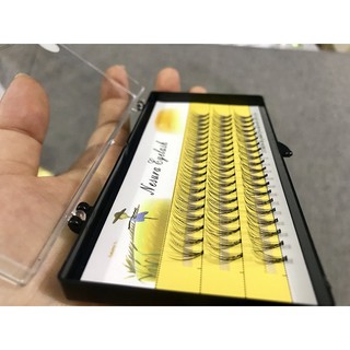 Mi chùm 5D sợi cong mềm