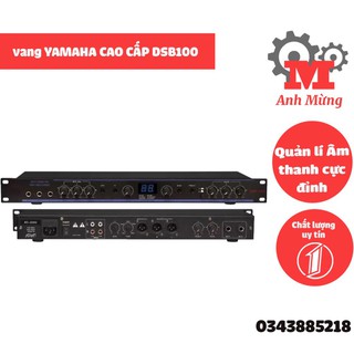 Vang cơ Yamaha, vang Yamaha DSB100 cao cấp bảo hành 12 tháng, hiệu ứng chỉnh âm thanh cao cấp