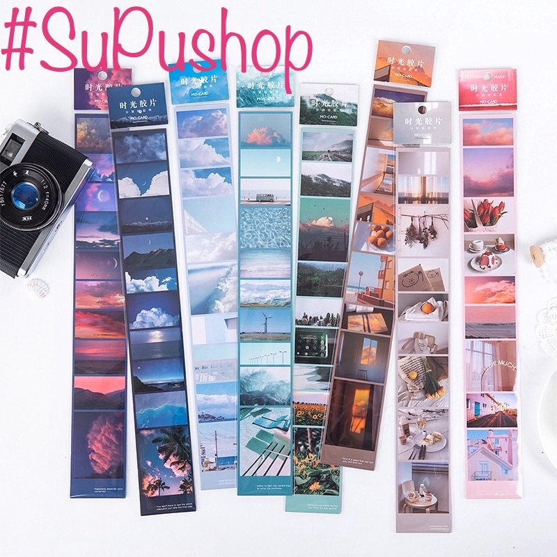 🍁🍁STICKER DÂY PHONG CẢNH SIU CHILL🍁🍁