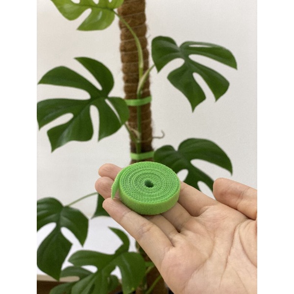 Băng dính gai, băng velcro tape, bán theo 1m