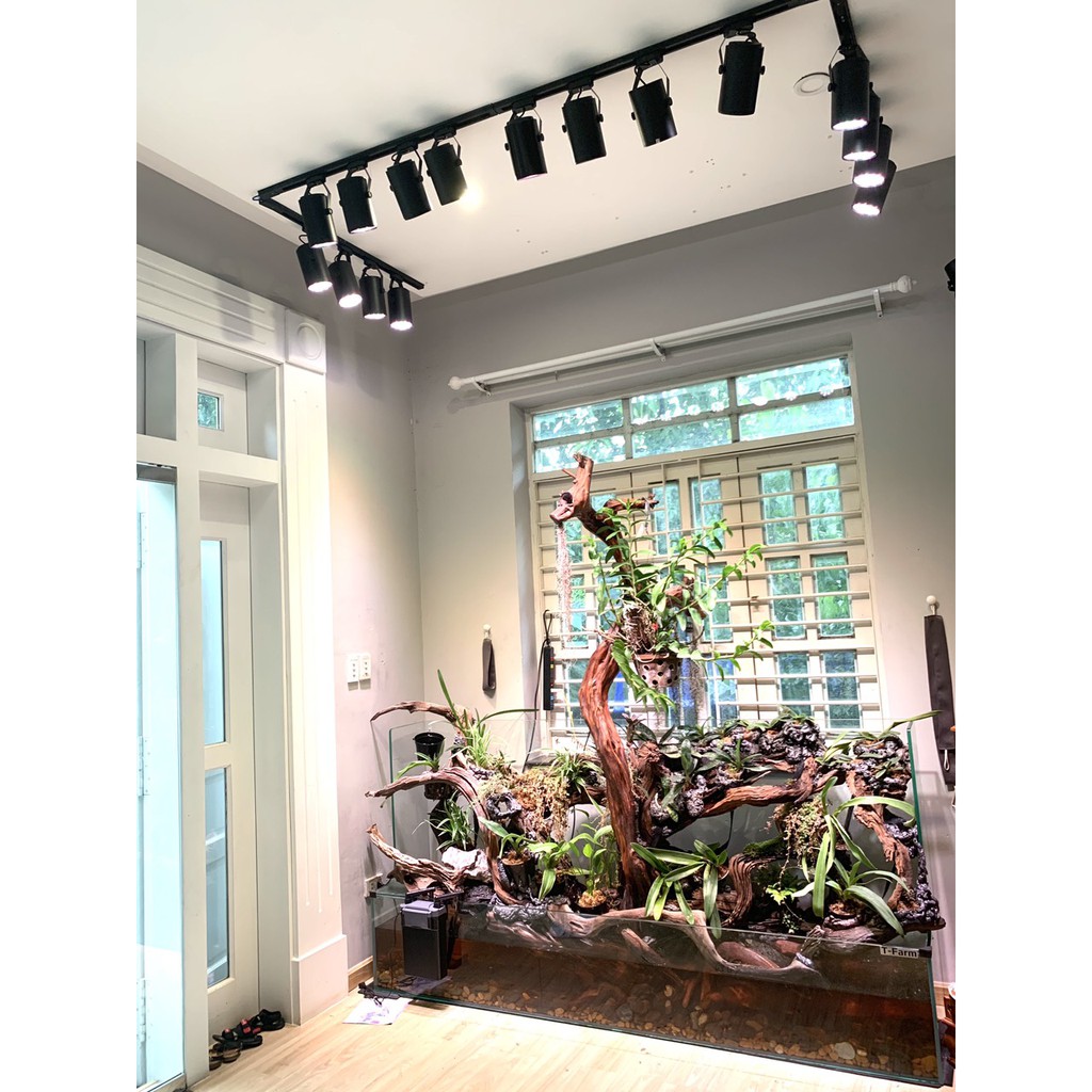 Đèn trồng cây, hoa trong nhà LED grow light 9W