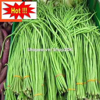 Hạt giống Đậu đũa cao sản
