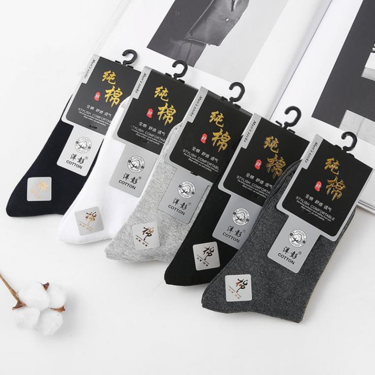 Tất nam cổ cao GALANO vớ nam cotton co giãn đàn hồi đi làm, đi chơi, tập thể thao chạy bộ, gym đa năng FAS-001330