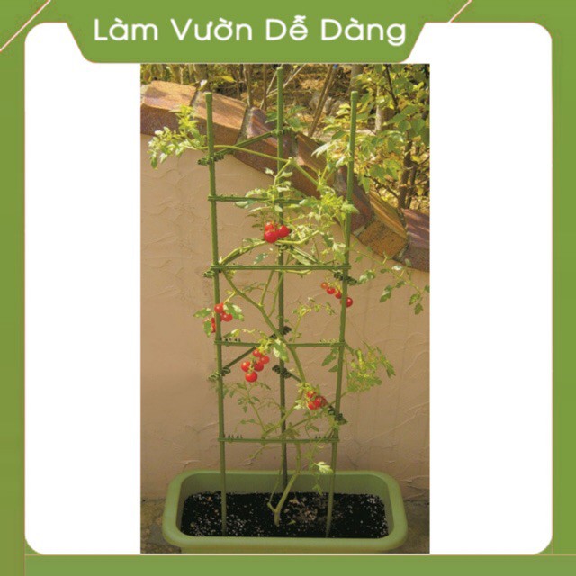 TAM GIÁC - KHUNG TRỒNG CÂY Dùng để đỡ cây, giữ không cho cây đổ ngã, giúp cây hoa đứng vững không bị nghiêng gãy đổ cây
