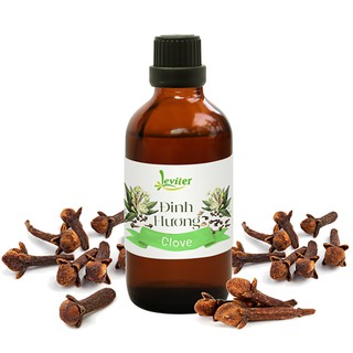 Tinh dầu đinh hương Leviter - 100ml - Hương thơm cỏ cây vô cùng thư giãn