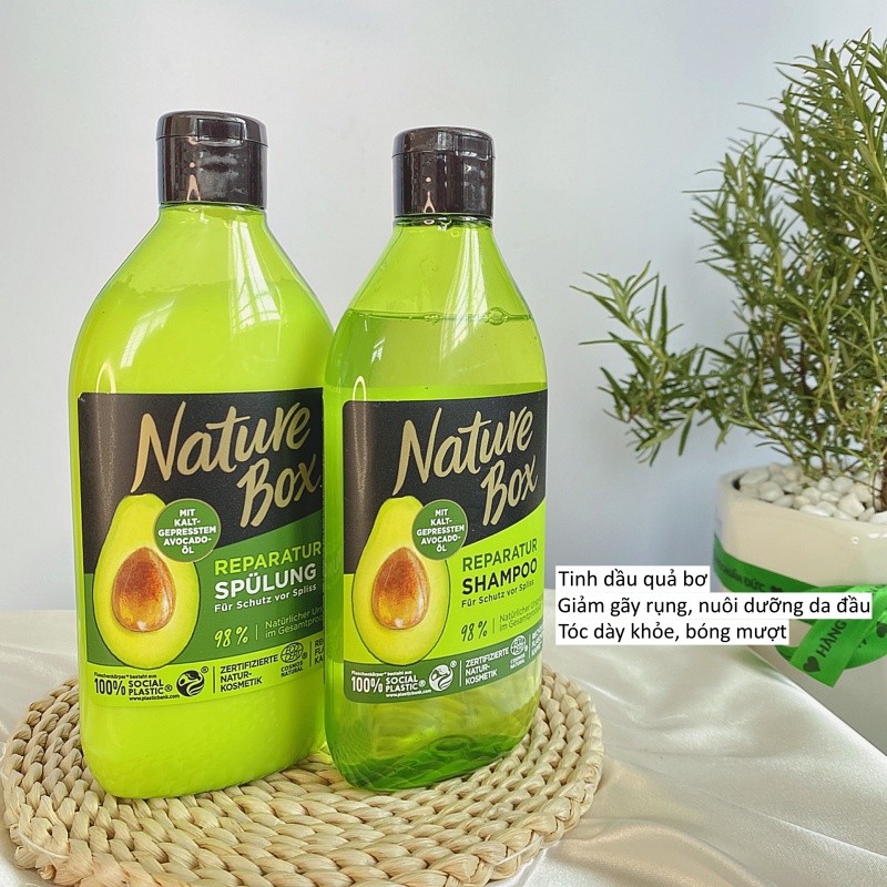 Dầu Gội Xả Tóc Nature Box, Bơ Ép Lạnh, Phục Hồi Tóc Hư Tổn, 385ml
