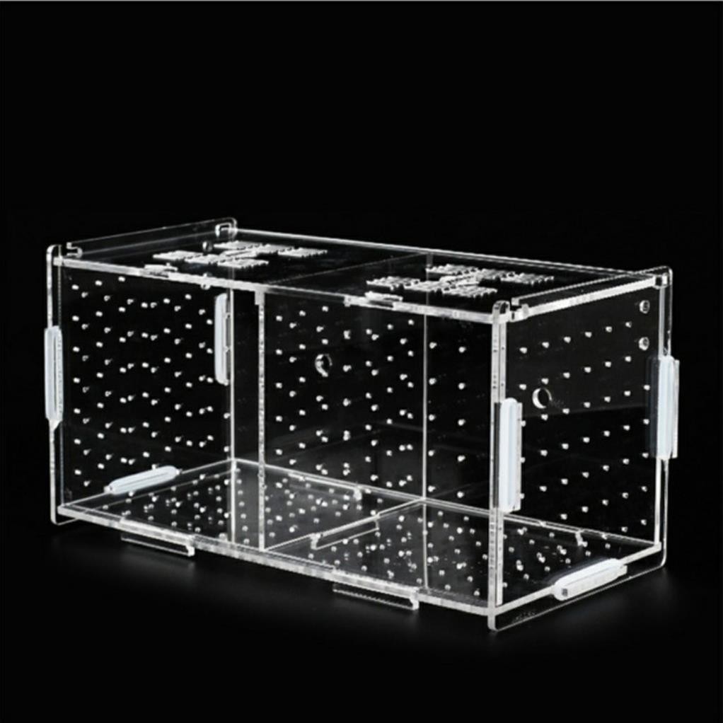 Lồng dưỡng cá tép Mica siêu trong- Lồng dưỡng tép bể thủy sinh