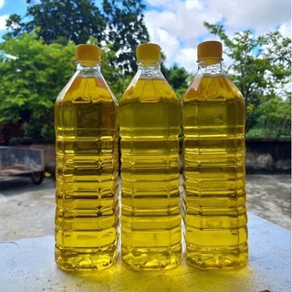 Dầu lạc, dầu đậu phộng nguyên chất Hà Tĩnh ép thủ công từ hạt lạc tươi thuần chủng an toàn cho nấu nướng và ăn dặm