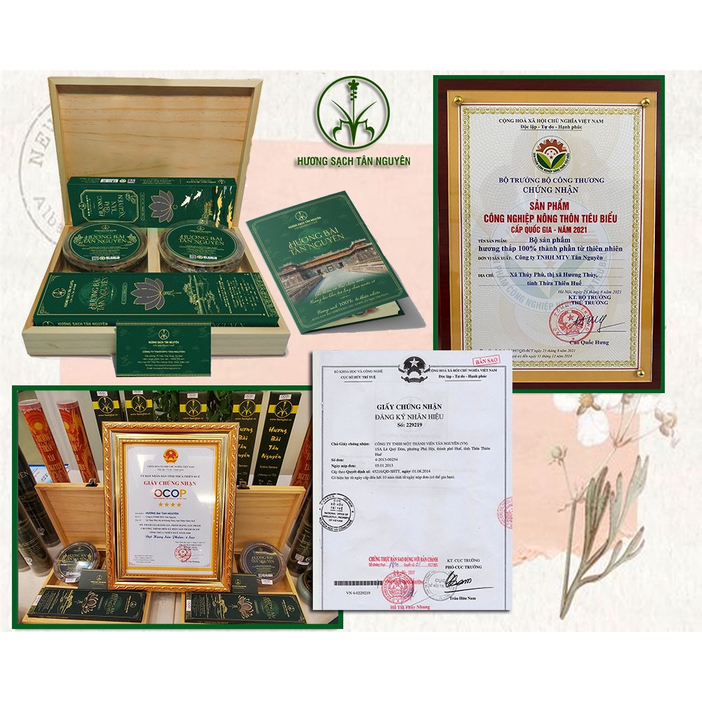HƯƠNG BÀI NỤ SẠCH - ĐẠT CHUẨN OCOP QUỐC GIA - HƯƠNG SẠCH TÂN NGUYÊN