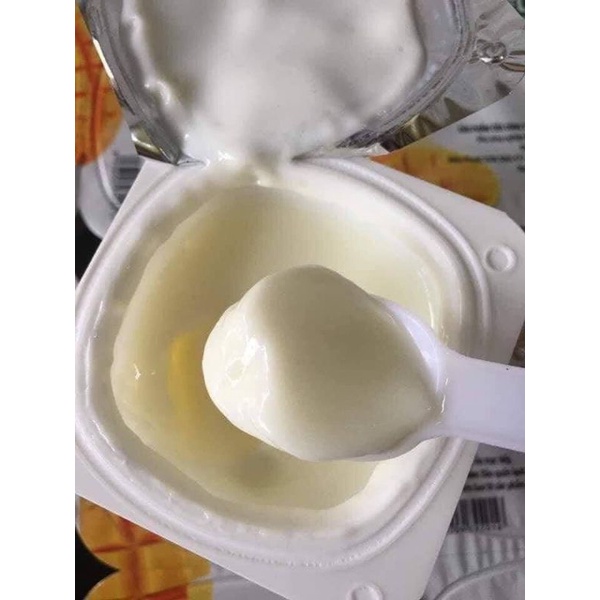 Sữa chua elovi