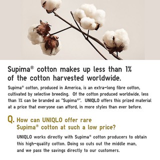 Áo thun nam Uni (cotton Supima), có bigsize