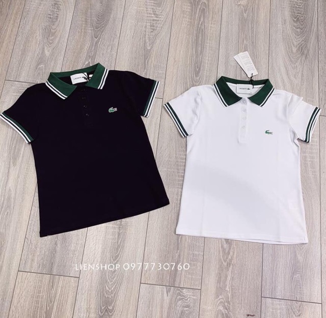 áo Polo thêu Lacosteeee