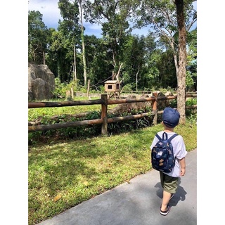 Balo khủng long h.m bé trai