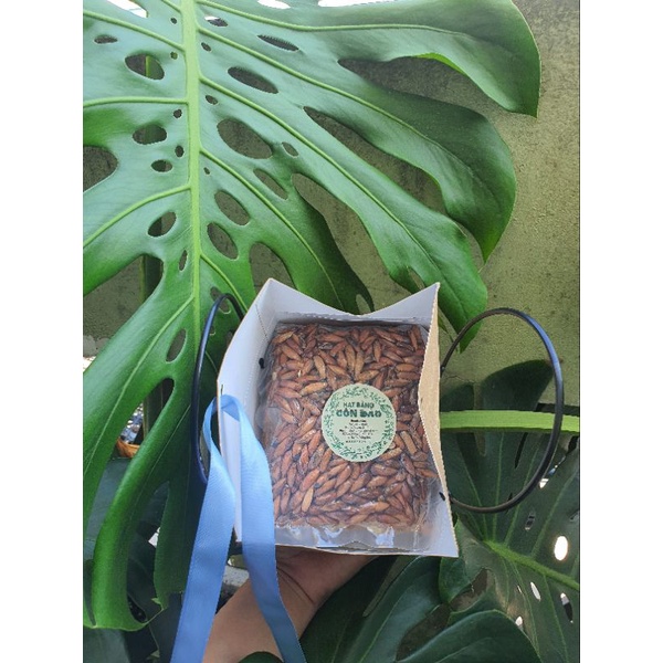 Hạt Bàng Sấy Khô