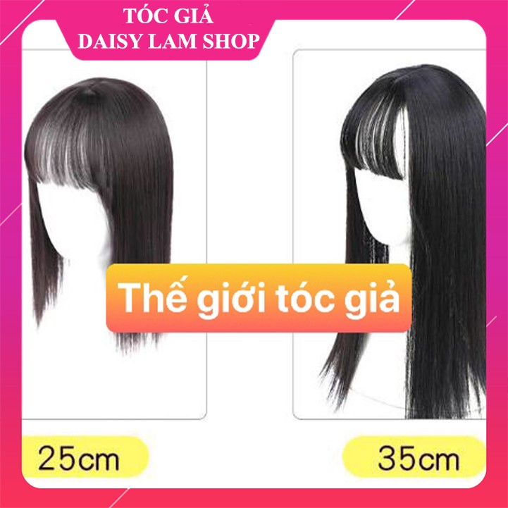 Tóc giả che hói , phủ bạc dài 35cm H003