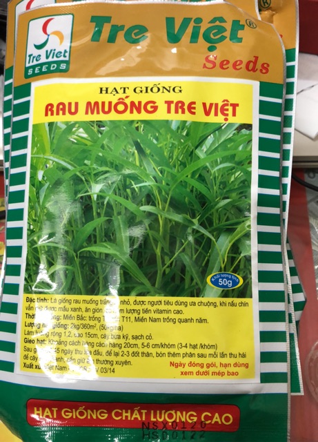 ☘ Hạt giống Rau muống Tre Việt (gói 50 gr) ✅