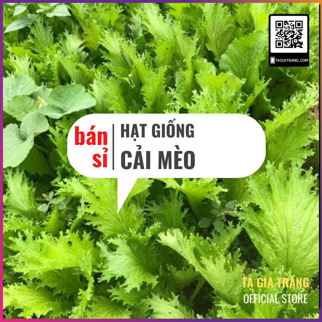 [Bán sỉ] - Hạt Giống Cải Mèo