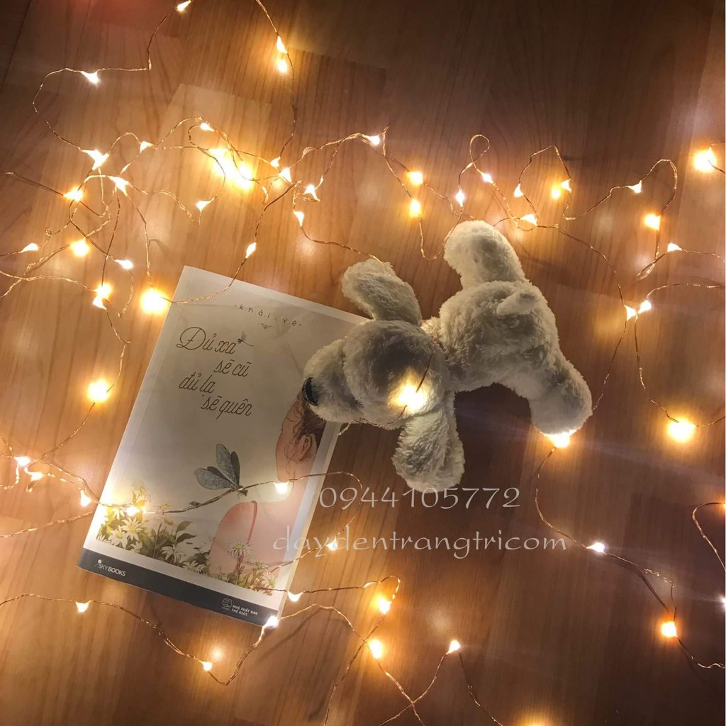 Combo 2 dây đèn fairy light và 1 dây đèn bi nhỏ trang trí ngoài trời