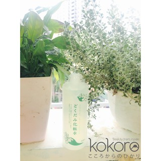 Nước hoa hồng Lotion Diếp cá/Tía tô 500ml