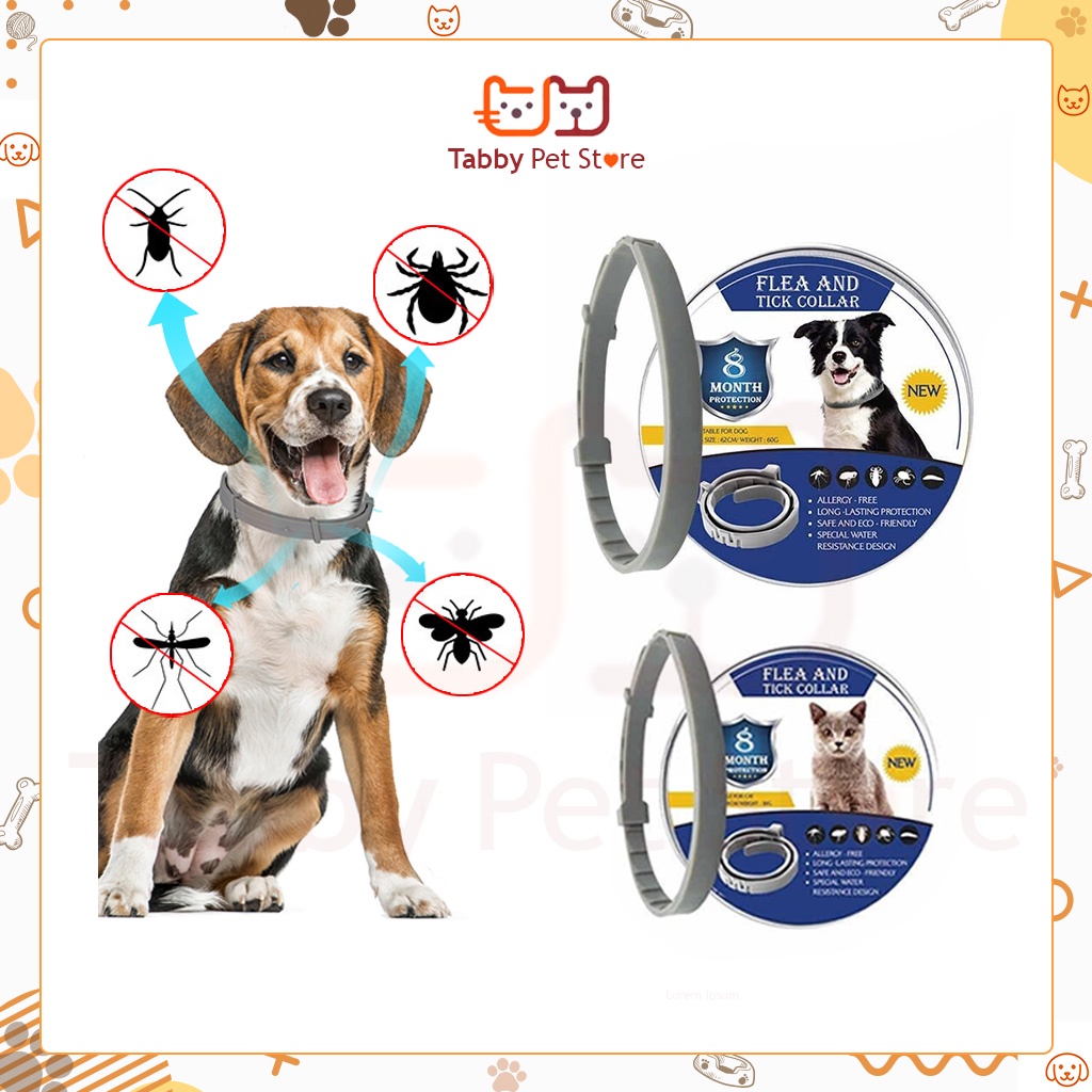 Vòng cổ chống ve rận cho mèo chó Flea And Tick Collar Tabby Pet Store