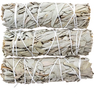 [White Sage] Xô Thơm Trắng