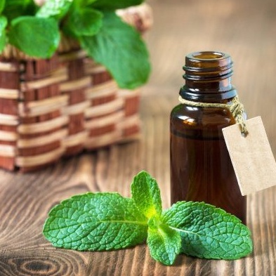 Tinh dầu Bạc Hà Peppermint Essential Oil Trường An ,xuất sứ thiên nhiên không pha tạp chất, có giấy kiểm định COA