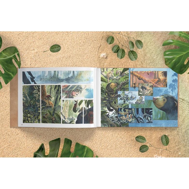 Sách - Chang hoang dã - Gấu - NXB Kim Đồng