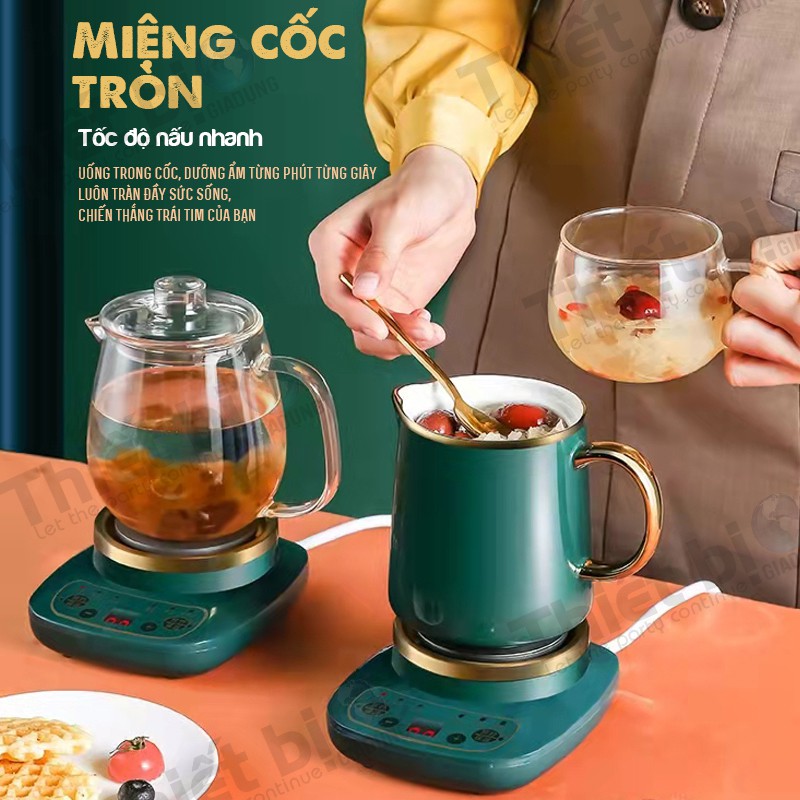 Cốc Sức Khỏe Đa Chức Năng Chưng Yến  Tự Động Làm Nóng Nước Ở Nhiệt Độ 55 Độ Kèm Hộp Làm Quà Tặng Đẹp Sang Trọng.