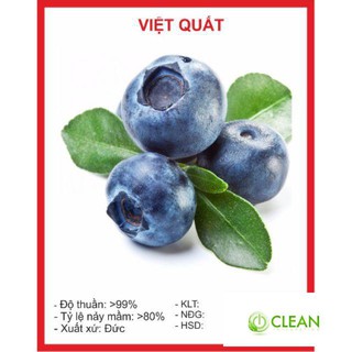 Hạt Giống Việt Quất 5 Hạt