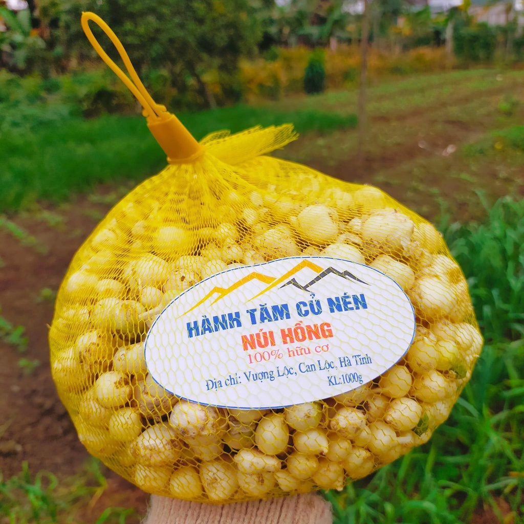 1kg HÀNH TĂM/ CỦ NÉN ĐẢM BẢO CHẤT LƯỢNG CỦ TO Y HÌNH SHOP CHỤP