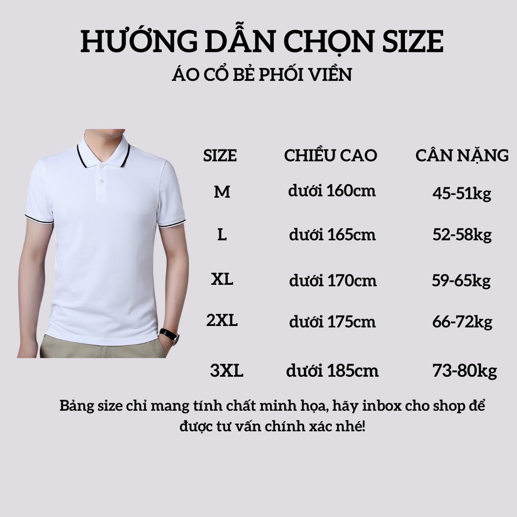 Áo thun nam polo cổ bẻ phối viền Gavin, Áo polo phong cách Hàn Quốc lịch sự trẻ trung (ACBPV)