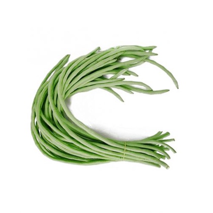 HẠT GIỐNG ĐẬU ĐŨA NGỌT CAO SẢN gói 20g