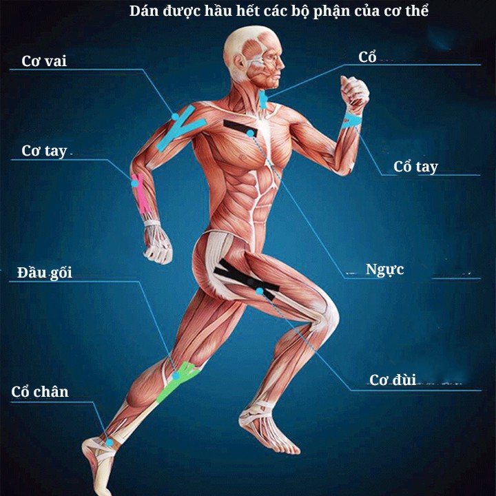 Băng nhiệt dán cơ thể thao kinesiology XK55 cuộn dài 5m