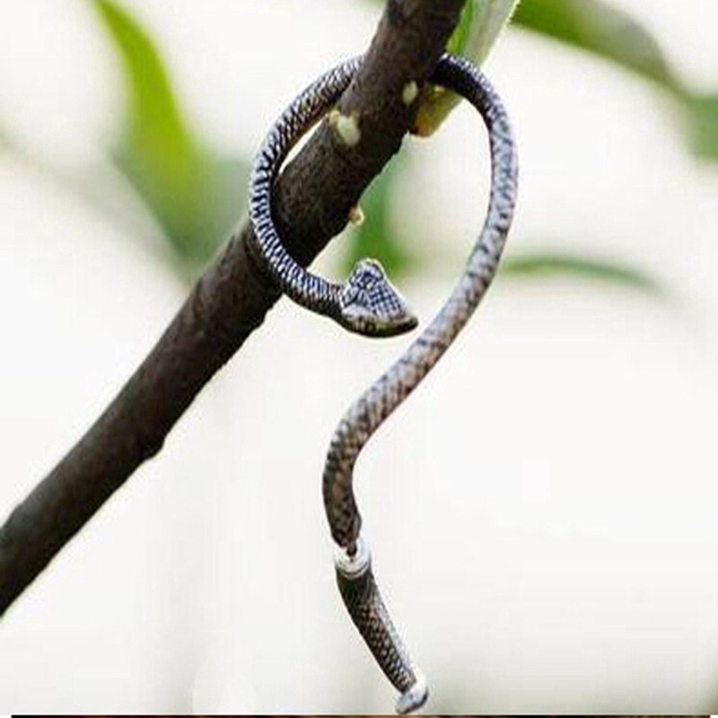 Khuyên vành tai hình rắn phong cách gothic cá tính độc đáo