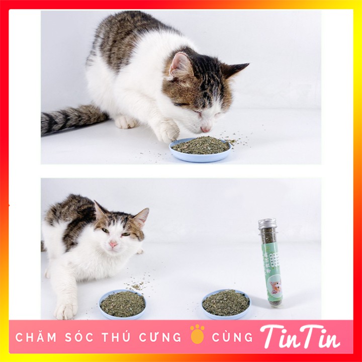 Cỏ Mèo Bạc Hà Catnip Khô - Ống 50 gram #Tintin Pet Store