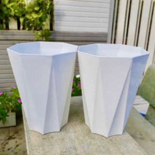 2 Chậu Đa Giác Trồng Cây May Mắn KC02