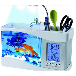 Bể Cá Mini Nhập Khẩu