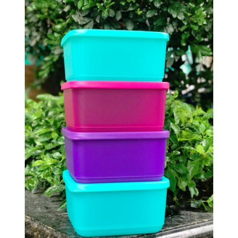 Bộ 4 hộp bảo quản thực phẩm Tupperware Small Square Round