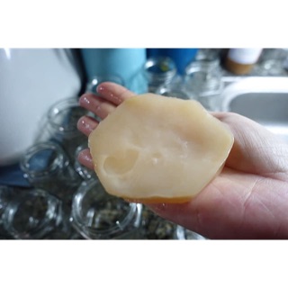 Kombucha, Scopy  kèm nước mồi (Combo đầy đủ)