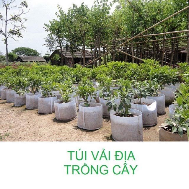 [FreeShip] Túi Trồng Cây - Túi Vải Địa Trồng Cây 2 Quoai Sách - Đủ Mọi Kích Thước Full Size