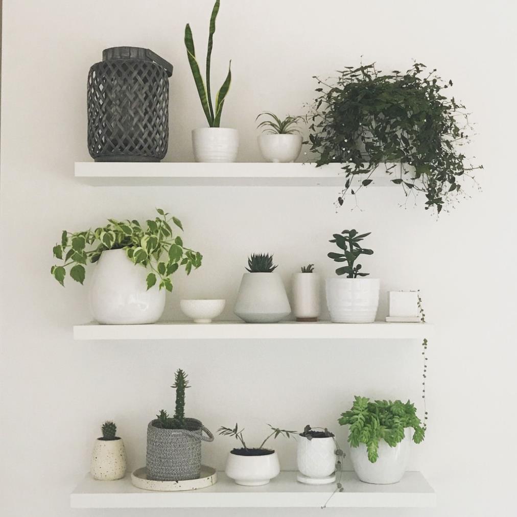 COMBO 3 thanh ngang kệ treo tường, HGF-Hoàng Giang, Rộng 60cm x sâu 15cm gỗ đa năng