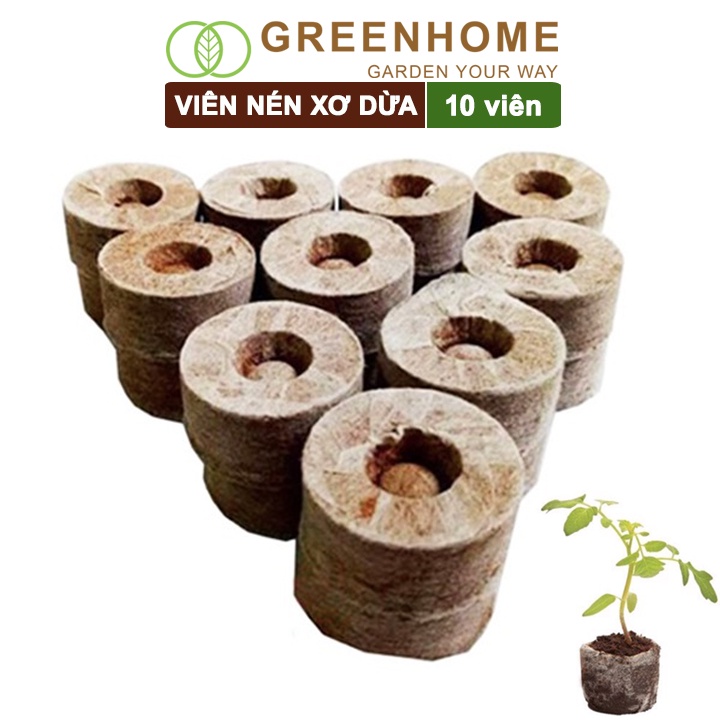 Viên nén xơ dừa, bao 10 viên, ươm hạt giống, trồng cây, ươm hạt , ươm cây giống, trồng dâu tây |Greenhome