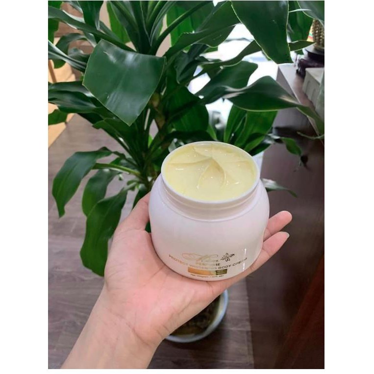 BODY MỀM CHỮ A BODY MỀM PHƯƠNG ANH CHÍNH HÃNG mẫu mới nhất | BigBuy360 - bigbuy360.vn