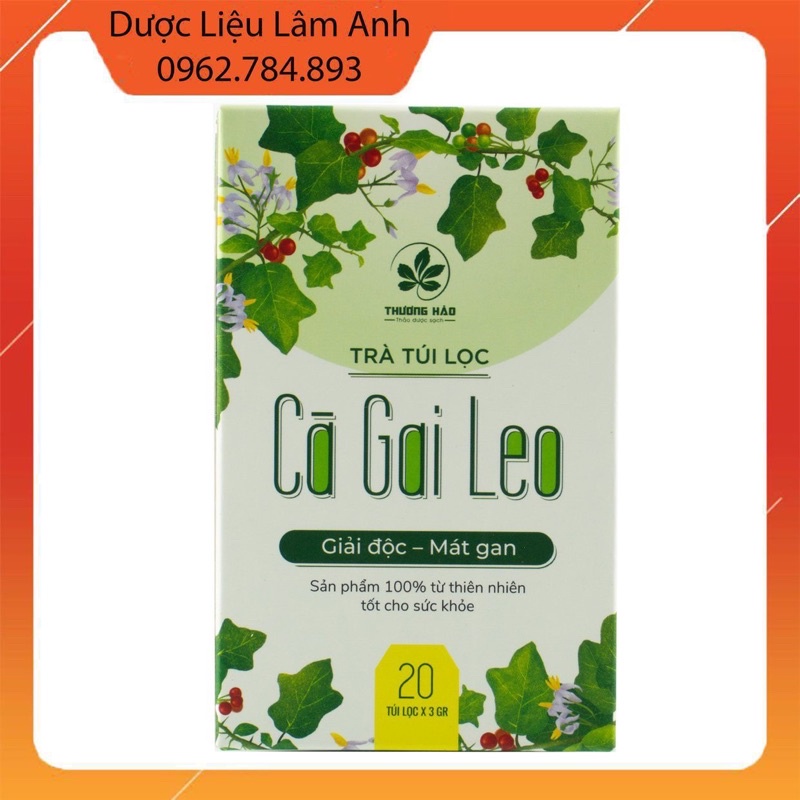 Trà túi lọc cà gai leo Hoà Bình hộp 20 gói chuẩn GACP-WHO (có chứng nhận ATVSTP)